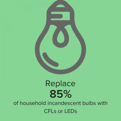 replace-85-of-household-incandescent-bulbs-with-cfls-or-leds